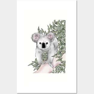 Curious Koala Posters and Art